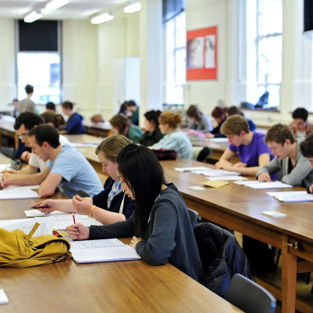 (MBA) Master’s degree in business administration