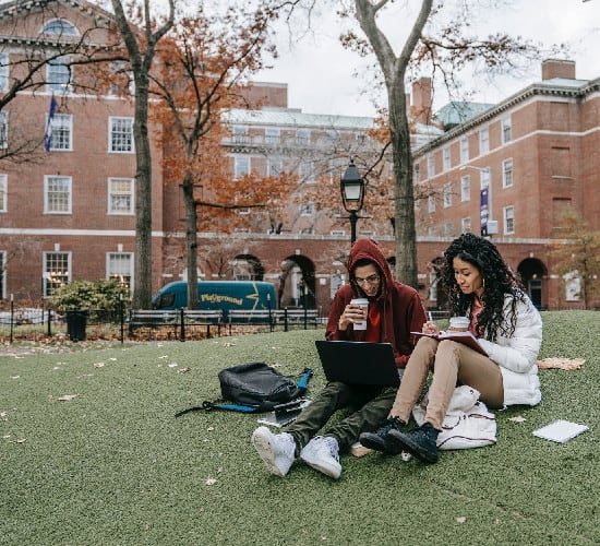 Which Degree Courses are Popular Now