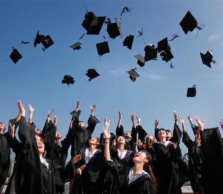 Which Degree Courses are Popular Now